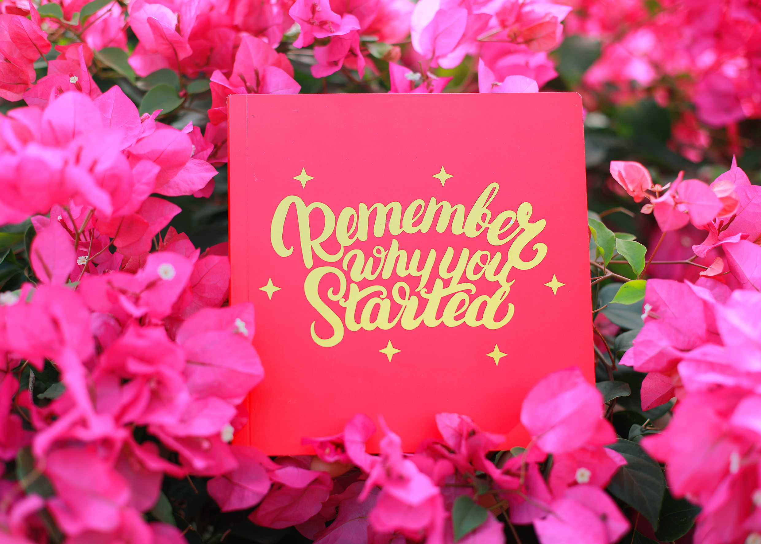 WHAT WE WRITTEN AND FEELED