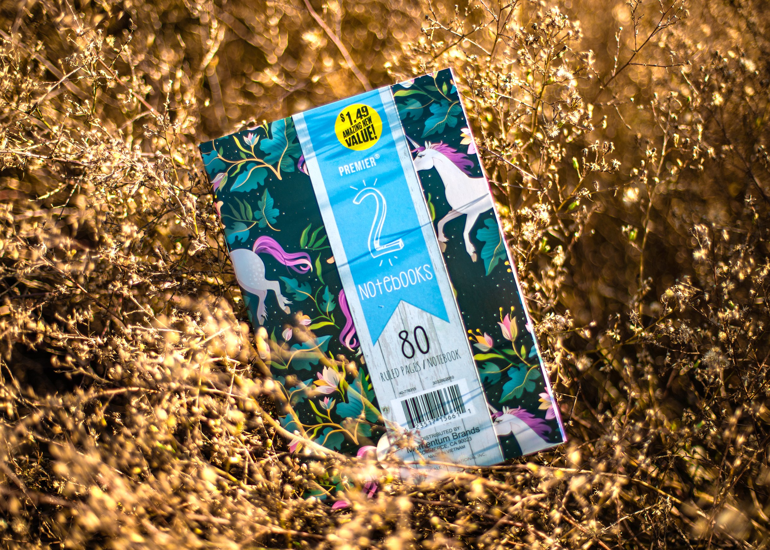 THE MEANS OF KNOWLEDGE