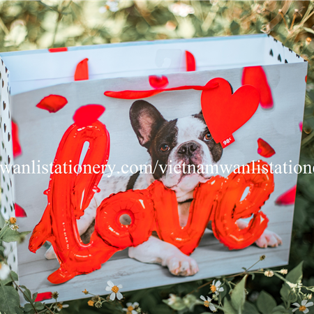 030220-12 LRG DOG LV BALLN BAG