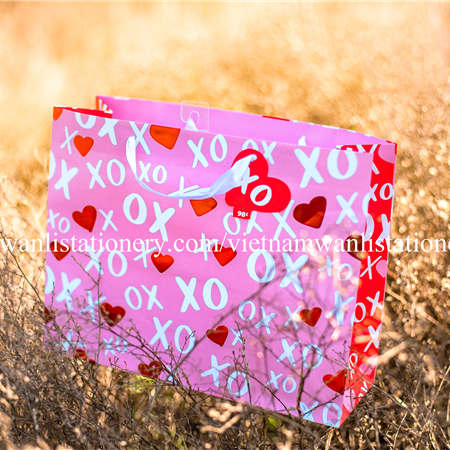 030220-14 LRG V XOHRT TOSS BAG