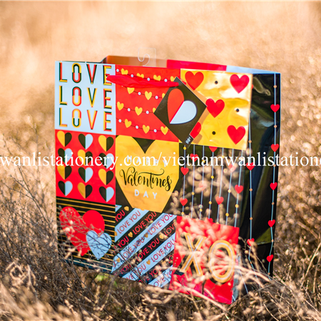 030220-22 LRG 9 SQUARE BAG