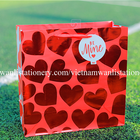 030220-23 LRG HRT TOSS BAG