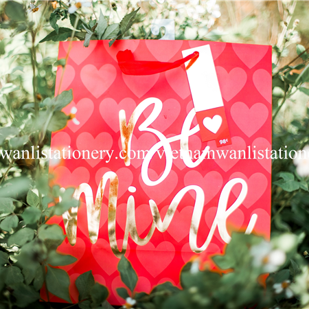 030220-33 LRG BE MINE BAG