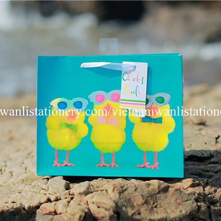 032020-05 CUB CHICKS SUNGLASS BAG